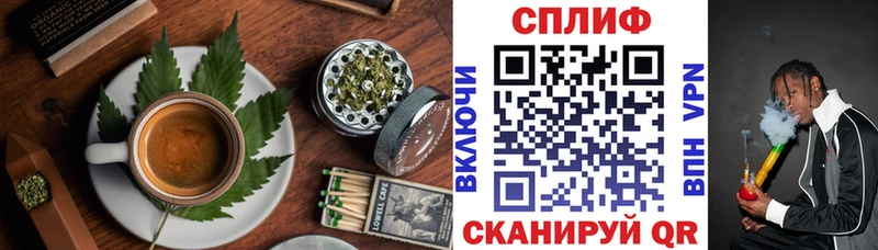 Canna-Cookies марихуана  Дубовка 