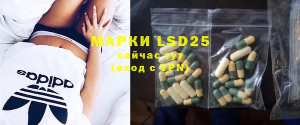 PSILOCYBIN Снежинск
