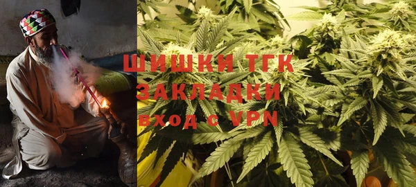 индика Слюдянка