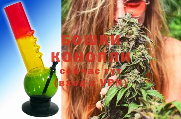 PSILOCYBIN Снежинск