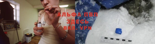 индика Слюдянка
