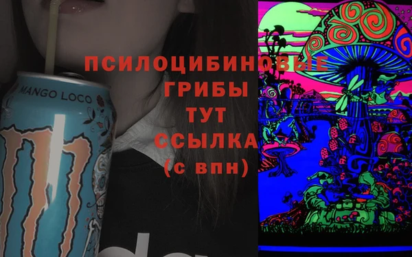 дживик Вяземский